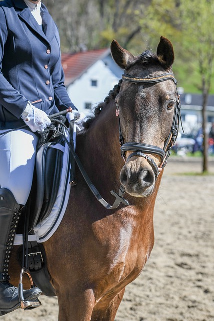 惨不忍睹！快船背靠背0胜5负，关键时刻比赛2胜9负