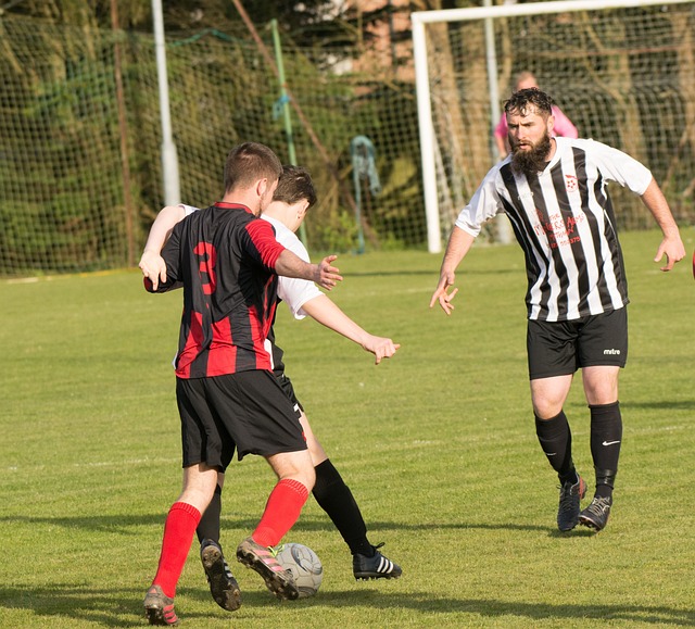 300万奖金+林丹、盖德齐聚 天王杯羽毛球赛岁末决战南山